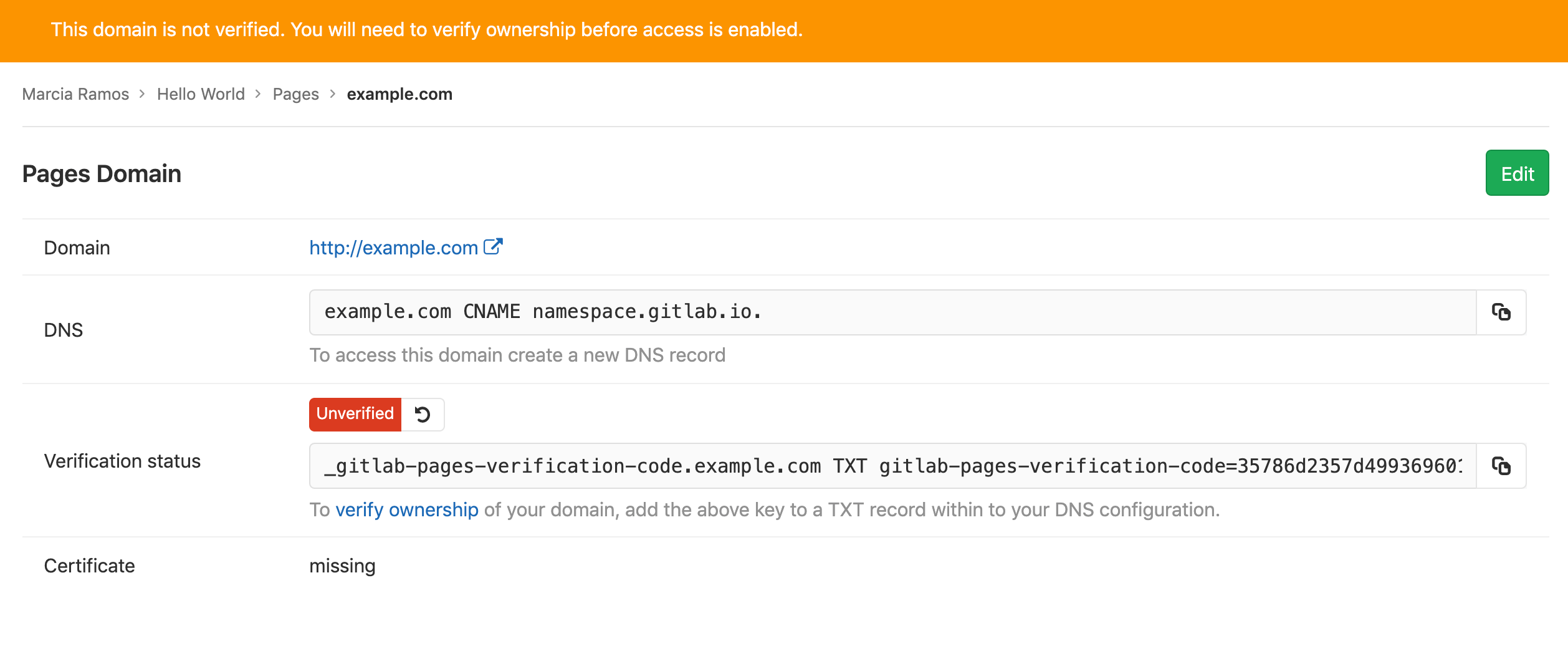 GitLab Pages showing the generated verification code for a new domain.